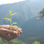 Ecologia