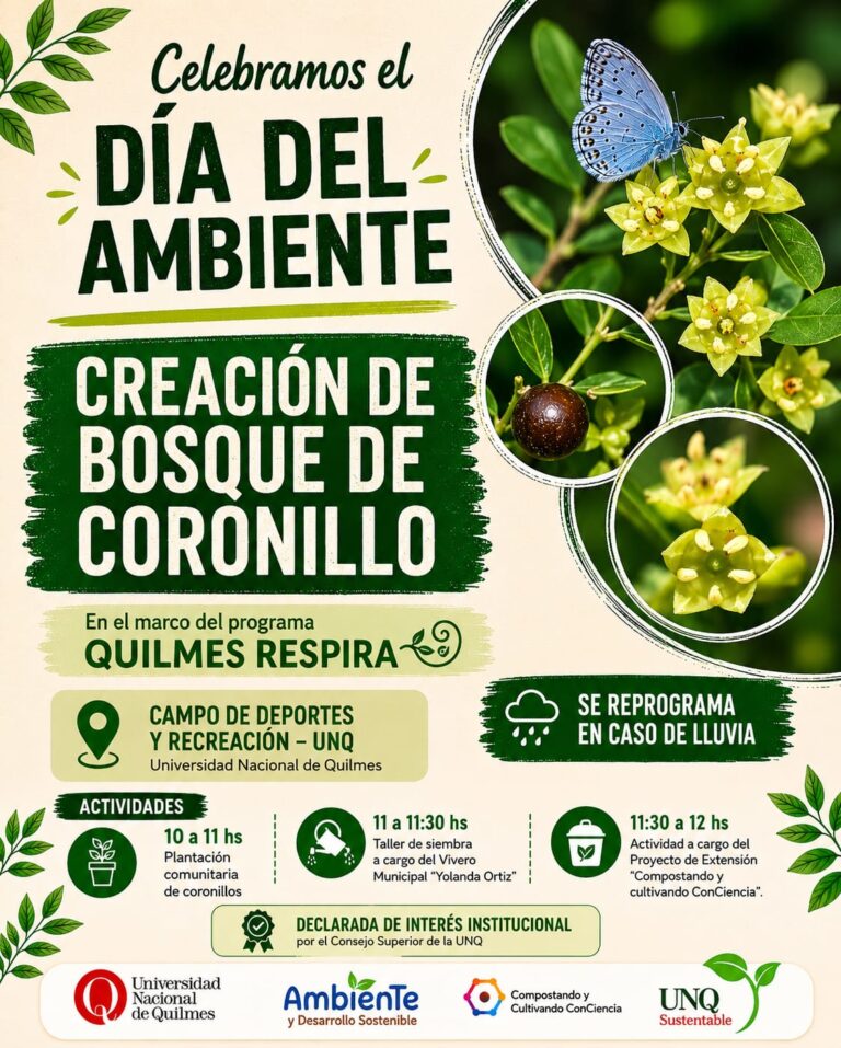 actividad 5 de junio