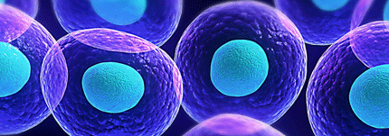 Biotecnología y negocios