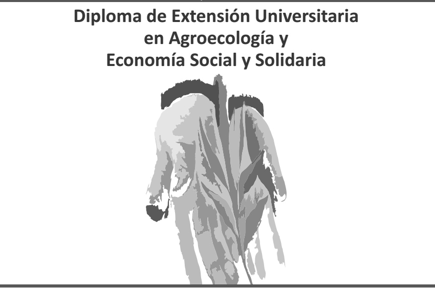 Diploma Extensión