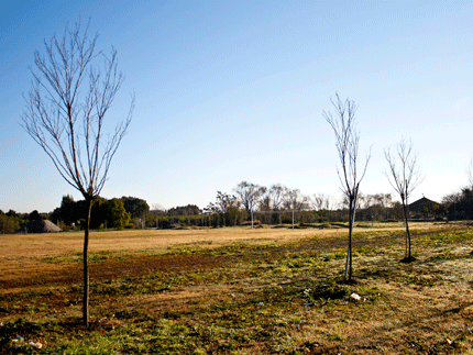 Nuevo campo de deportes