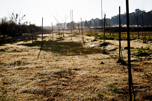 Nuevo campo de deportes y recreación