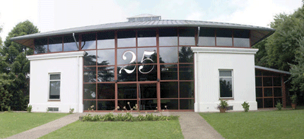 25 años