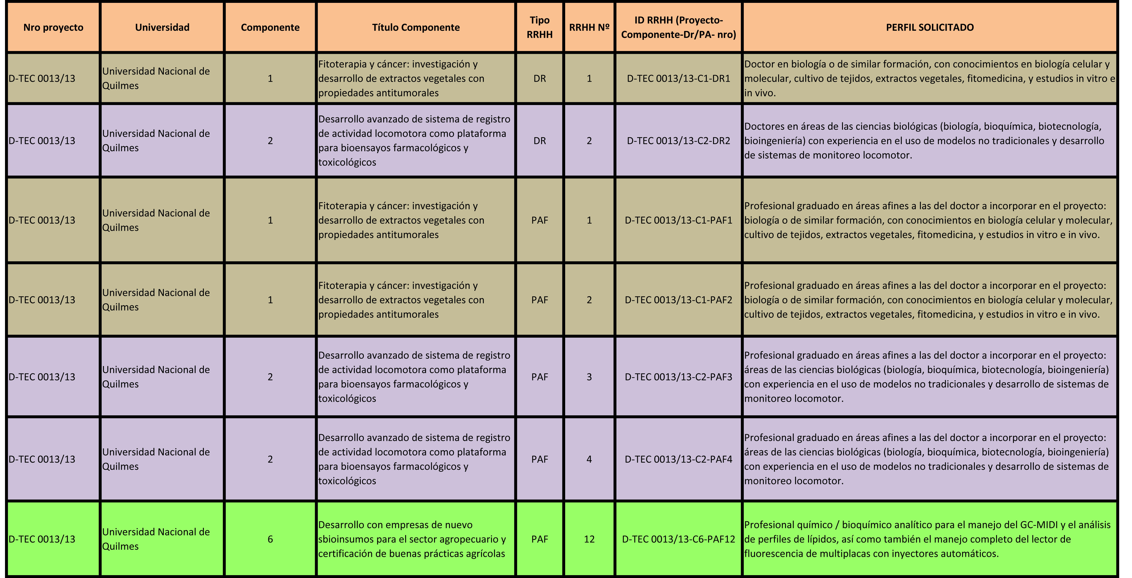 Convocatoria a becas D-TEC 2013 - Componentes y perfiles