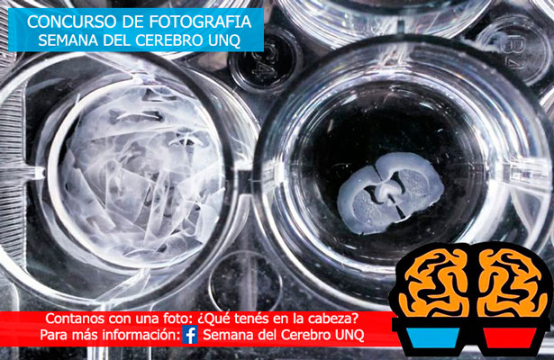 Semana del Cerebro - Concurso