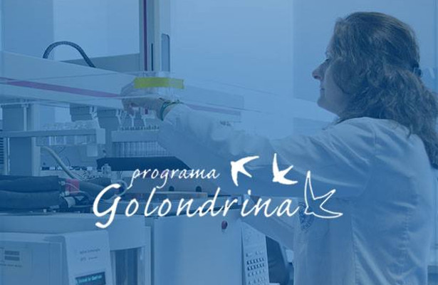 Programa Golondrina