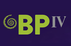 IV Congreso Internacional de Buenas Prácticas en Discapacidad