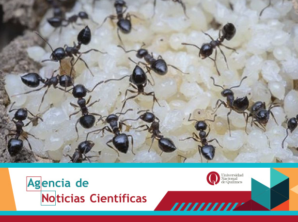 Agencia de noticias científicas